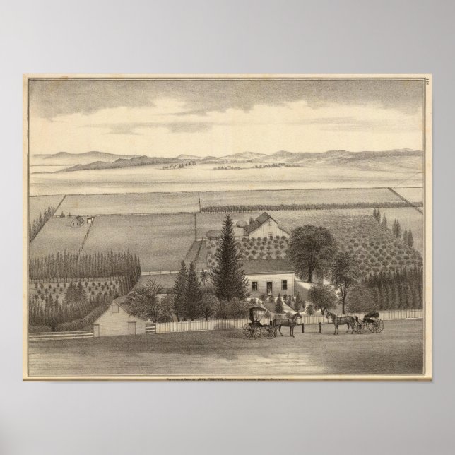 Póster Proctor res, fazenda (Frente)