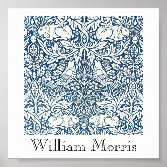 Poster - Procura de Bolotas Design 2 (Frente)