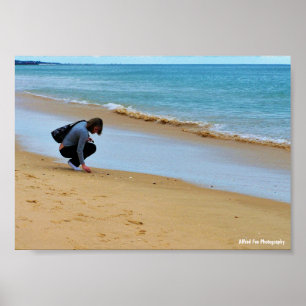 Poster Procurando a Concha Perfeita
