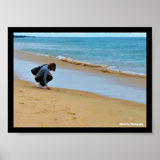 Poster Procurando a Concha Perfeita