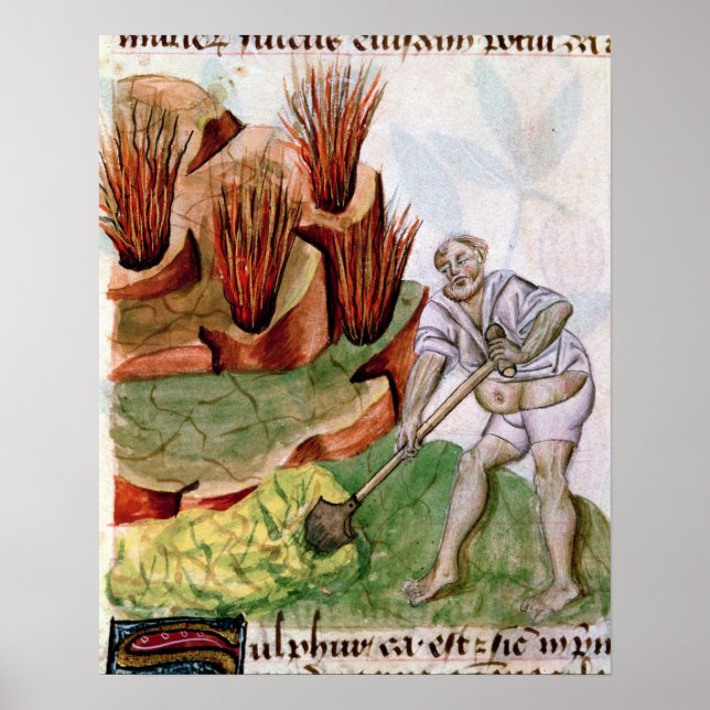 Póster Procurando enxofre, Dioscorides, De Herbis (Frente)