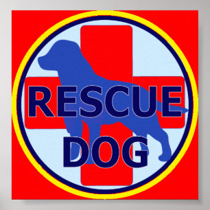 POSTER PROCURARE E RECUE O SARDA DO CÃO