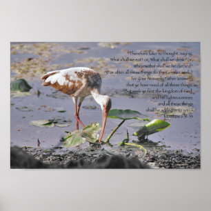 Poster Procure o YE primeiramente o reino da escritura do