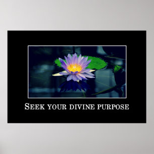 Poster Procure sua finalidade divina