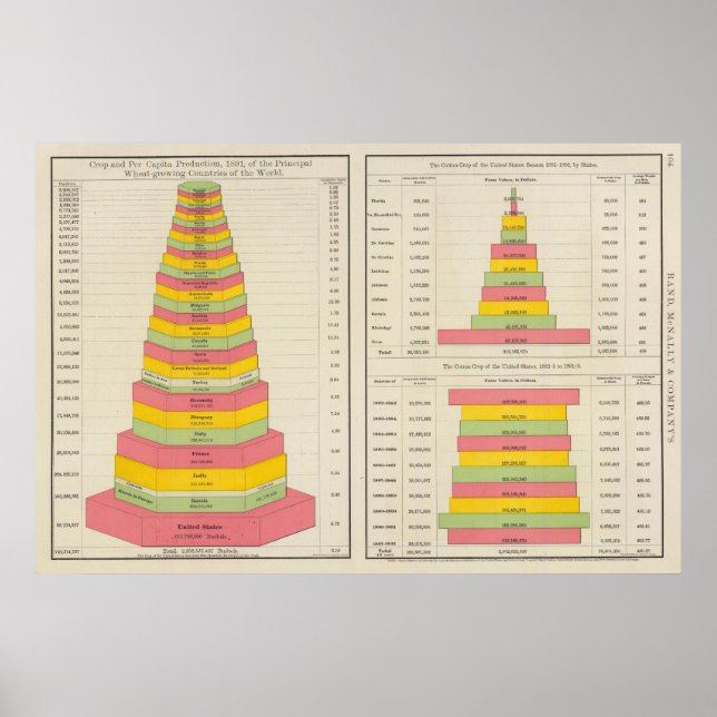 Poster Produção De Algodão (Frente)