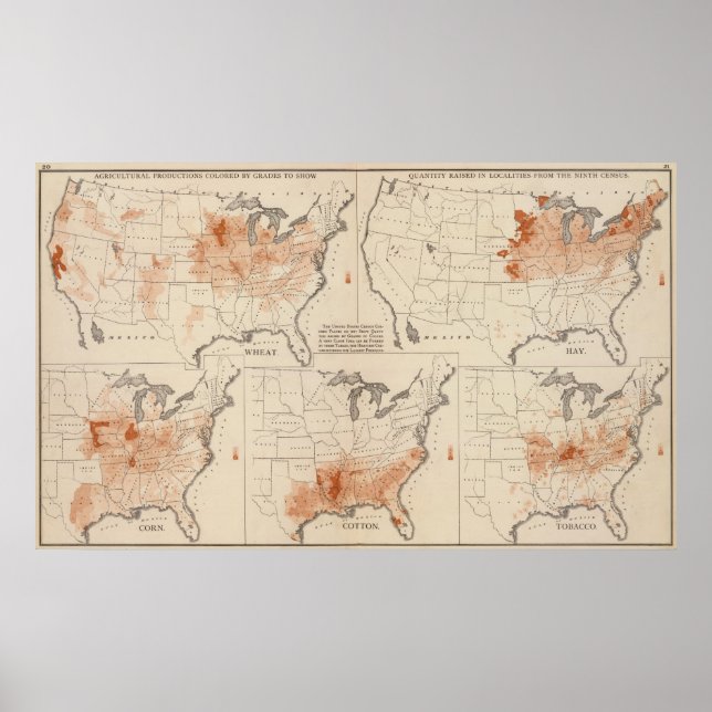 Poster Produções agrícolas nos EUA (Frente)
