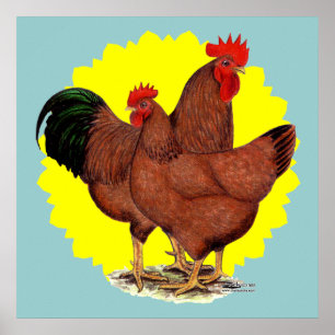 Póster Production Red Sunburst