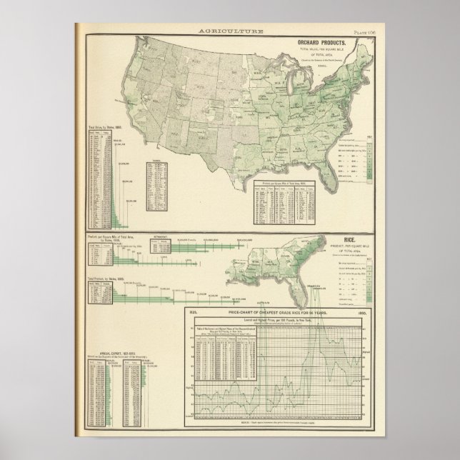 Póster Produtos à base de pomada e arroz (Frente)