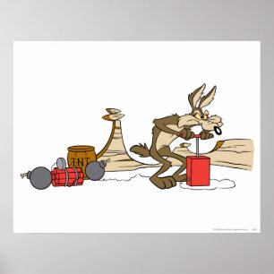 Poster Produtos Acme Wile E Coyote 11 2