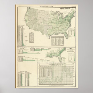 Póster Produtos e arroz do pomar