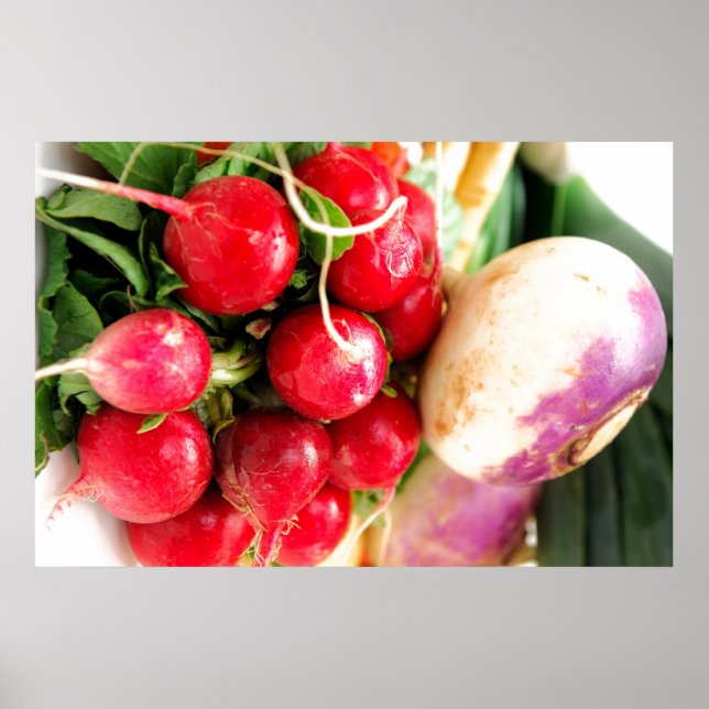 Poster Produtos Hortícolas Raiz (Frente)