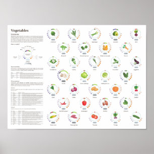 Poster Produtos hortícolas - Valores nutritivos - Infográ