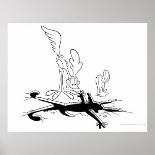 Póster Produtos Wile E Coyote e ROAD RUNNER™ Acme 3