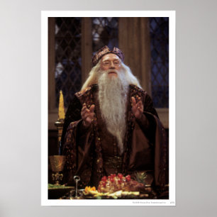 Póster Professor Dumbledore