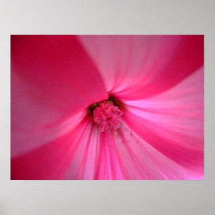 Póster Profundamente dentro