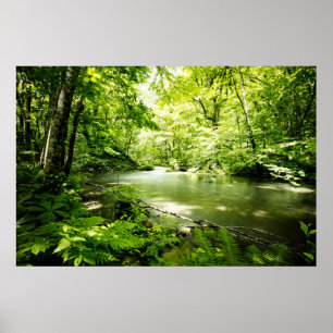 Poster Profundamente na floresta