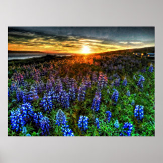 Póster Profundidade 58