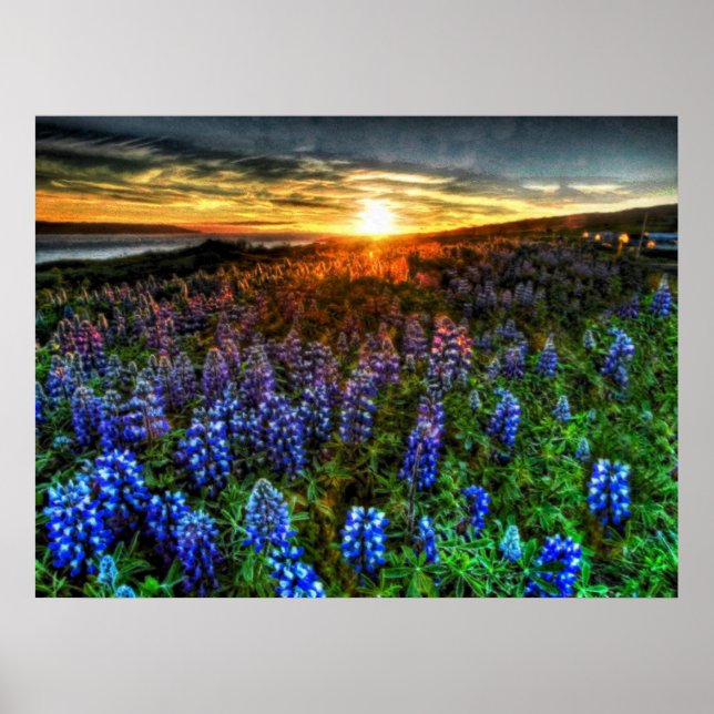 Póster Profundidade 58 (Frente)