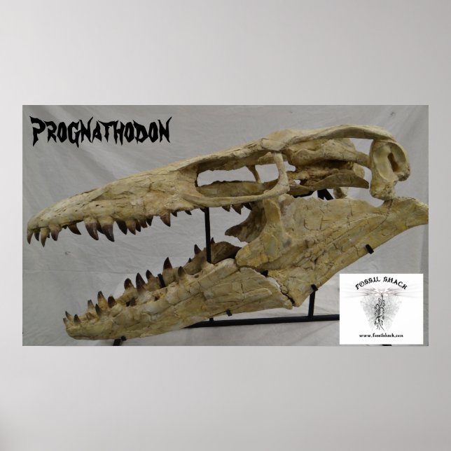 Poster Prognathodon Mosasaur (Frente)