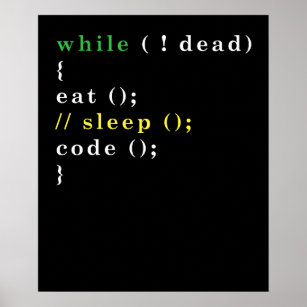 Poster Programador Python de Ciência Computacional Comer 
