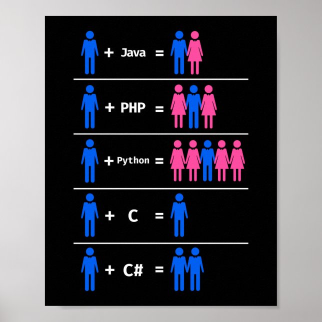 Poster Programmer Coding C Python PHP Java Attracments Me (Frente)