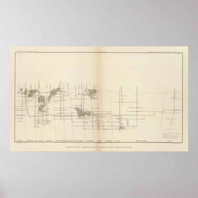 Póster Projeção vertical longitudinal I Comstock Loja (Frente)