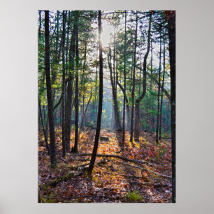 Póster Projector em um coto