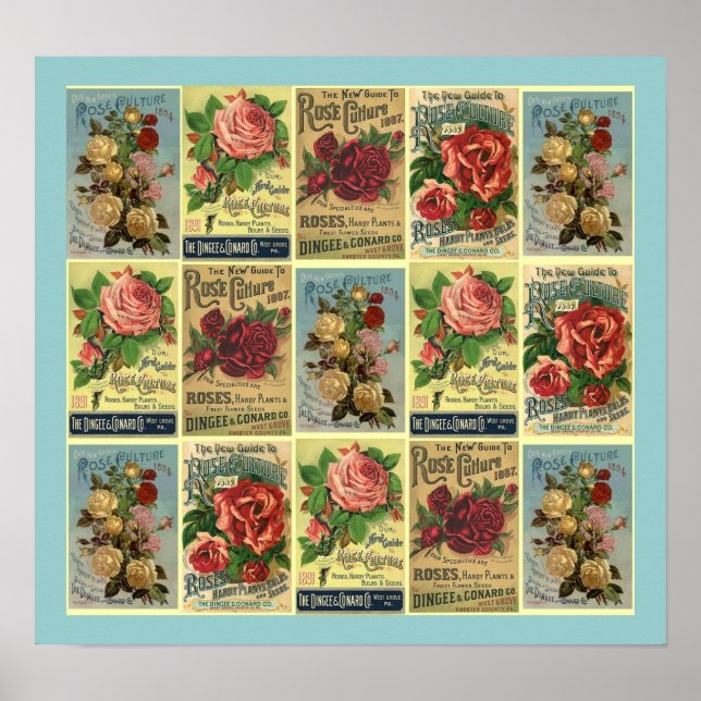 POSTER ~PROJETADO A PARTIR DO GUIA DE CULTURA DE R (Frente)