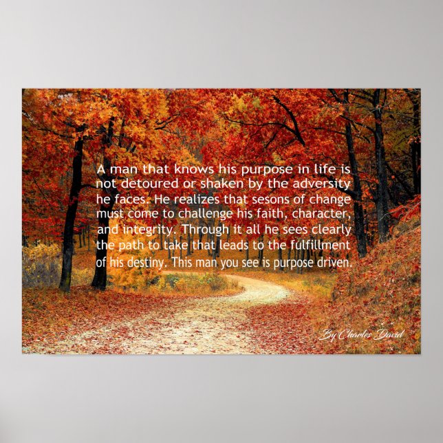 Póster Projetado a propósito (Frente)