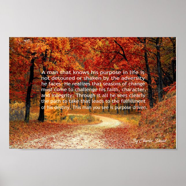 Póster Projetado a propósito (Frente)