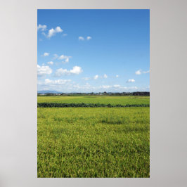 Poster Projetado com uma fotografia da Coreia do Sul, imp