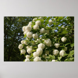 Poster Projetado com uma fotografia da Coreia do Sul, imp