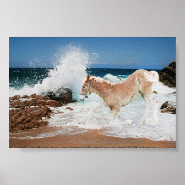 Póster Projeto Do Mar (Frente)