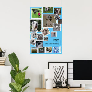Poster Promoção Imensa de Canis