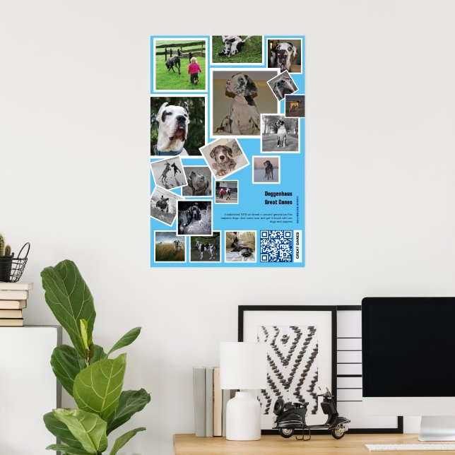 Poster Promoção Imensa de Canis (Escritório em casa)