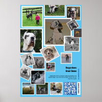 Promoção Imensa de Canis