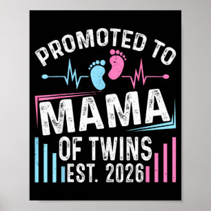 Poster Promovida a Mamãe de Gêmeos Est 2026 Chuveiro de B