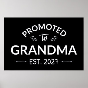Poster Promovida Para Avó Est 2027 Nova Nana II
