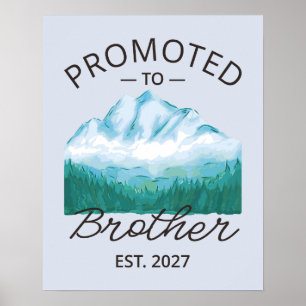 Poster Promovido a Irmão Est 2027 Big Brother VI