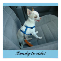 Pronto para circular Poster brilhante