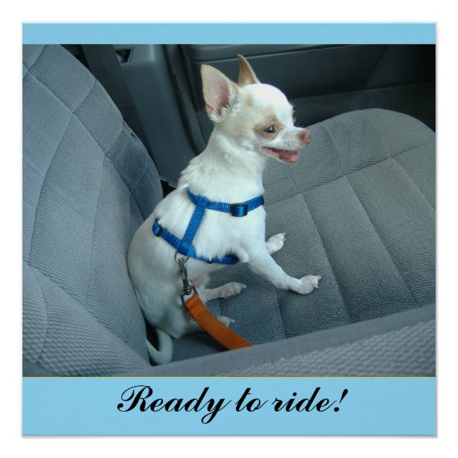 Póster Pronto para circular Poster brilhante (Frente)