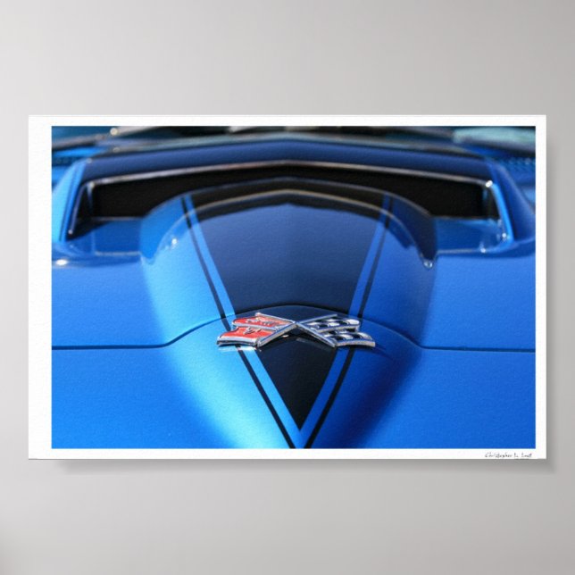 Póster Pronto para Rumble (Frente)