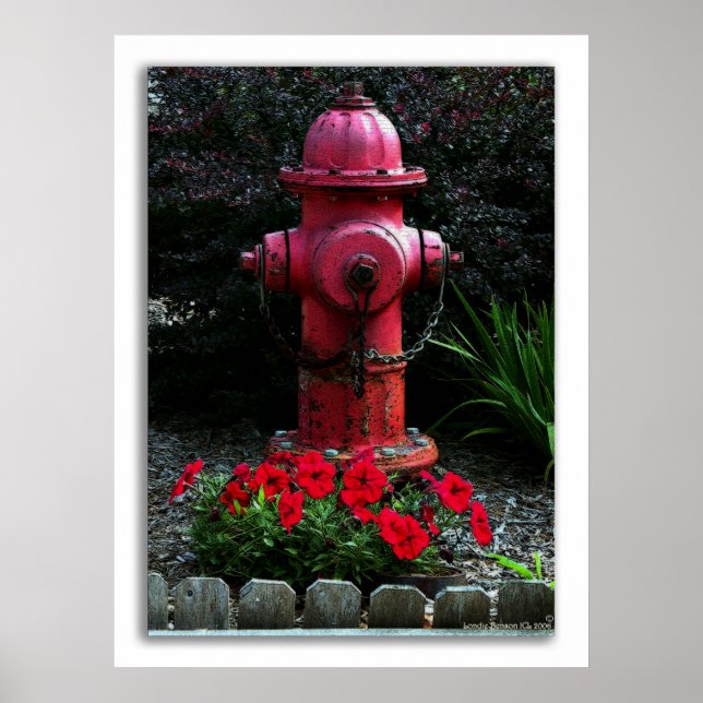 Póster Prontos, Dispostos e Capazes (Frente)