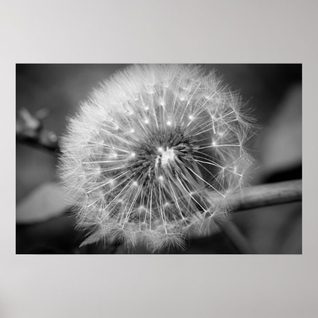 Poster Prontos para decolar!! (Frente)