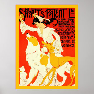 Póster Propaganda francesa do vintage do ~ patente Ltd de