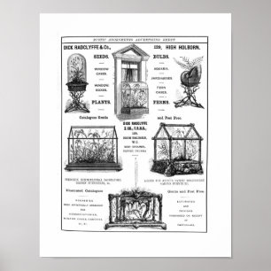 Póster Propaganda para o "pau Radclyffe & Co. " Anúncio