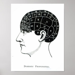Póster Propensões domésticas
