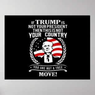 Poster Proposta engraçada do Trump 2020