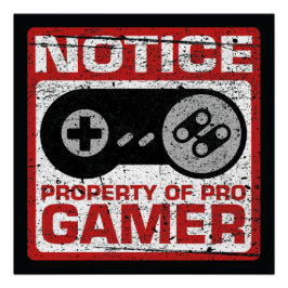Póster Propriedade De Aviso Do Pro Gamer