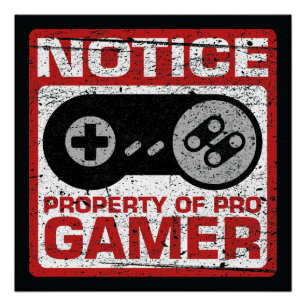Póster Propriedade De Aviso Do Pro Gamer